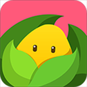 美柚孕期app